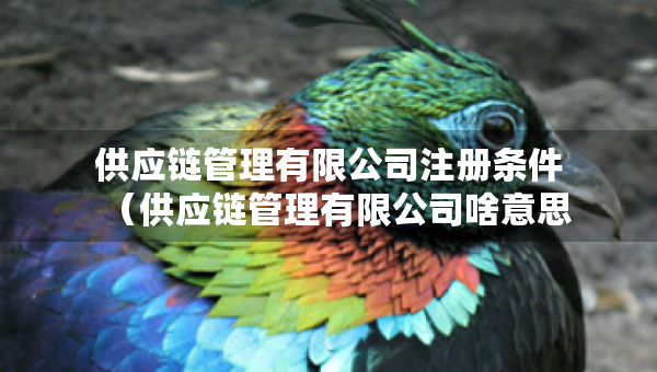 供应链管理有限公司注册条件（供应链管理有限公司啥意思）