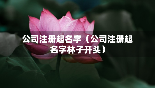 公司注册起名字（公司注册起名字林子开头）