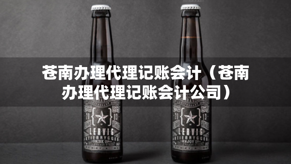 苍南办理代理记账会计（苍南办理代理记账会计公司）