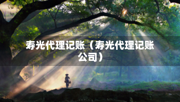 寿光代理记账（寿光代理记账公司）
