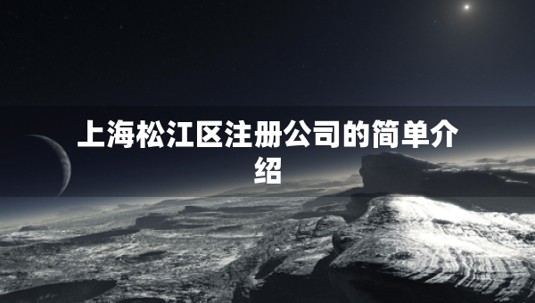 上海松江区注册公司的简单介绍