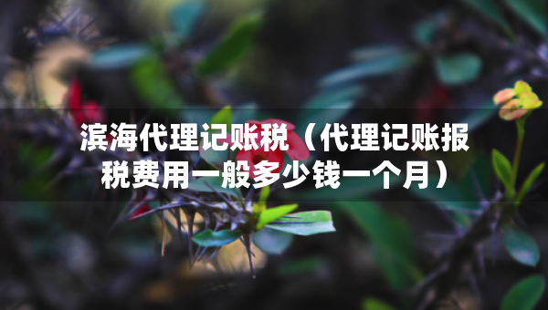 滨海代理记账税（代理记账报税费用一般多少钱一个月）