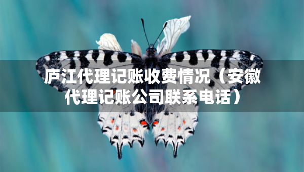 庐江代理记账收费情况（安徽代理记账公司联系电话）