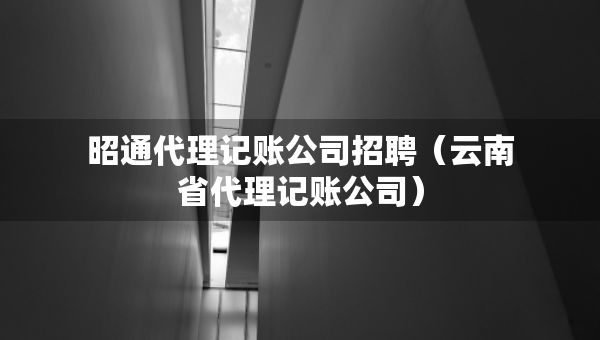 昭通代理记账公司招聘（云南省代理记账公司）