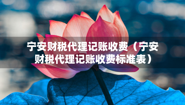 宁安财税代理记账收费（宁安财税代理记账收费标准表）
