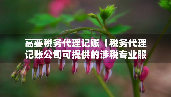 高要税务代理记账（税务代理记账公司可提供的涉税专业服务）