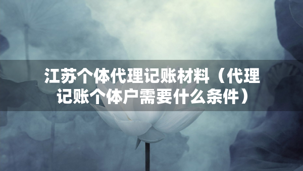江苏个体代理记账材料（代理记账个体户需要什么条件）