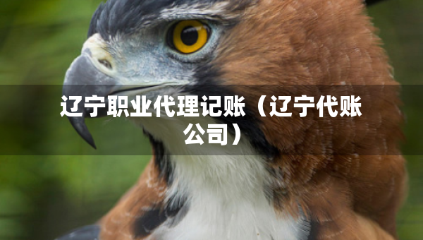 辽宁职业代理记账(辽宁代账公司) 辽宁职业代理记账(辽宁代账公司)