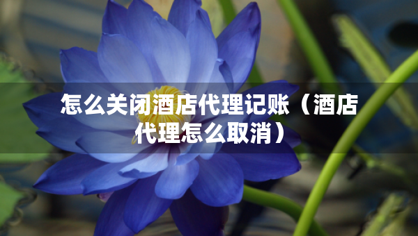 怎么关闭酒店代理记账（酒店代理怎么取消）