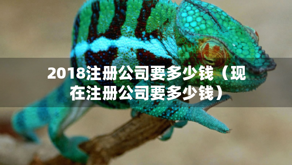 2018注册公司要多少钱（现在注册公司要多少钱）