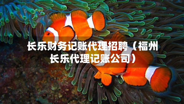 长乐财务记账代理招聘（福州长乐代理记账公司）