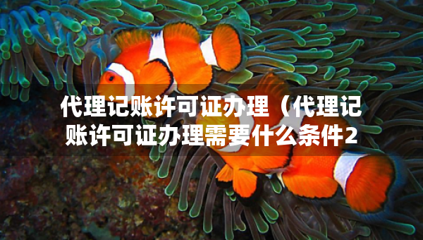 代理记账许可证办理（代理记账许可证办理需要什么条件2023）