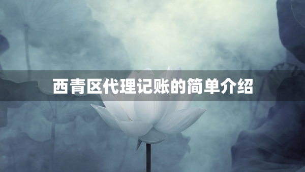 西青区代理记账的简单介绍