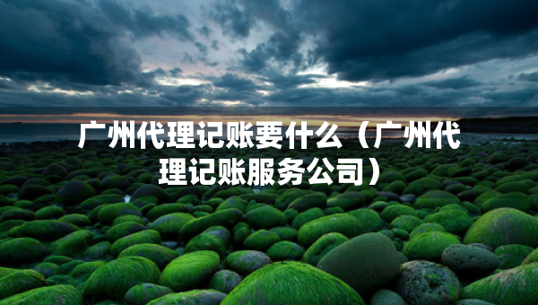 广州代理记账要什么（广州代理记账服务公司）