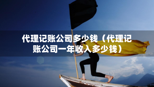 代理记账公司多少钱（代理记账公司一年收入多少钱）
