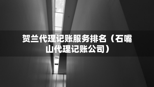 贺兰代理记账服务排名（石嘴山代理记账公司）