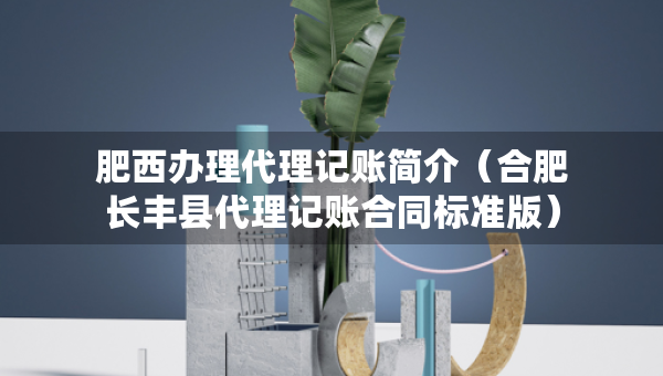 肥西办理代理记账简介（合肥长丰县代理记账合同标准版）