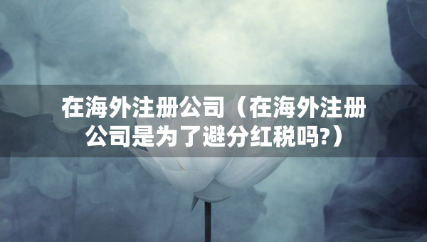 在海外注册公司（在海外注册公司是为了避分红税吗?）