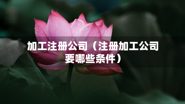 加工注册公司（注册加工公司要哪些条件）