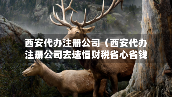 西安代办注册公司（西安代办注册公司去速恒财税省心省钱）