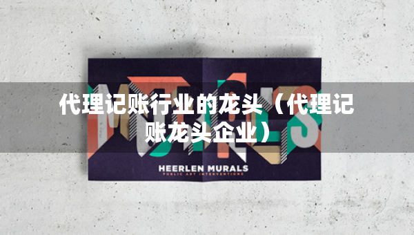 代理记账行业的龙头（代理记账龙头企业）