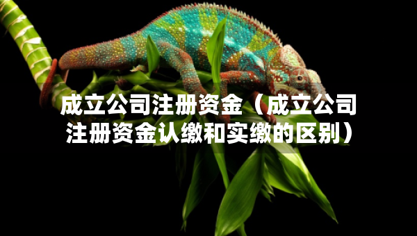 成立公司注册资金（成立公司注册资金认缴和实缴的区别）