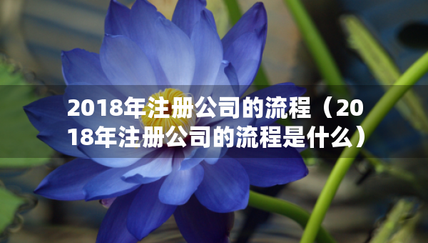 2018年注册公司的流程（2018年注册公司的流程是什么）