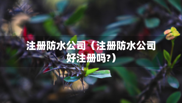 注册防水公司（注册防水公司好注册吗?）
