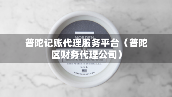 普陀记账代理服务平台（普陀区财务代理公司）