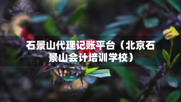 石景山代理记账平台（北京石景山会计培训学校）