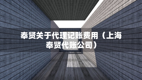 奉贤关于代理记账费用（上海奉贤代账公司）