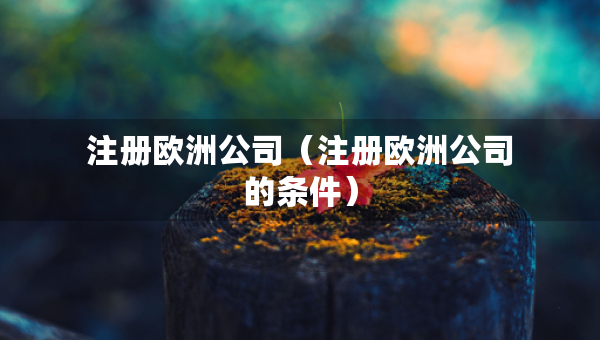 注册欧洲公司（注册欧洲公司的条件）