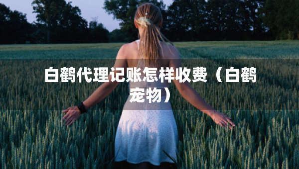 白鹤代理记账怎样收费(白鹤宠物) 白鹤代理记账怎样收费(白鹤宠物)