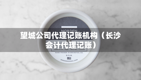 望城公司代理记账机构（长沙会计代理记账）