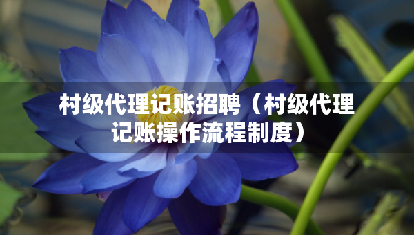 村级代理记账招聘（村级代理记账操作流程制度）