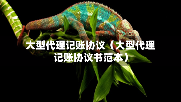 大型代理记账协议（大型代理记账协议书范本）