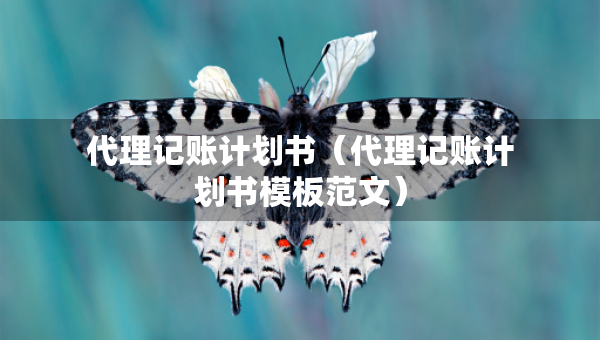 代理记账计划书（代理记账计划书模板范文）