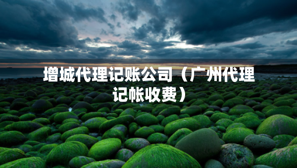 增城代理记账公司（广州代理记帐收费）