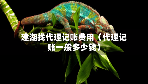 建湖找代理记账费用（代理记账一般多少钱）