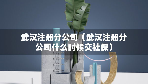 武汉注册分公司（武汉注册分公司什么时候交社保）