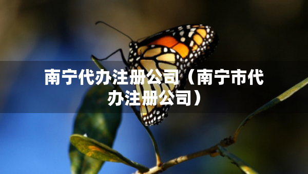 南宁代办注册公司（南宁市代办注册公司）