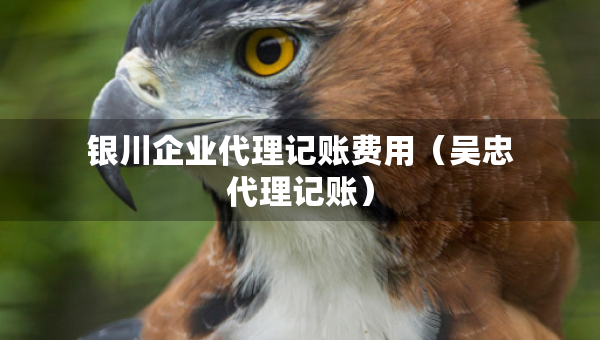 银川企业代理记账费用（吴忠代理记账）
