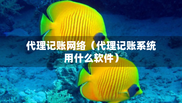 代理记账网络（代理记账系统用什么软件）