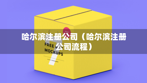 哈尔滨注册公司（哈尔滨注册公司流程）