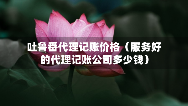 吐鲁番代理记账价格（服务好的代理记账公司多少钱）