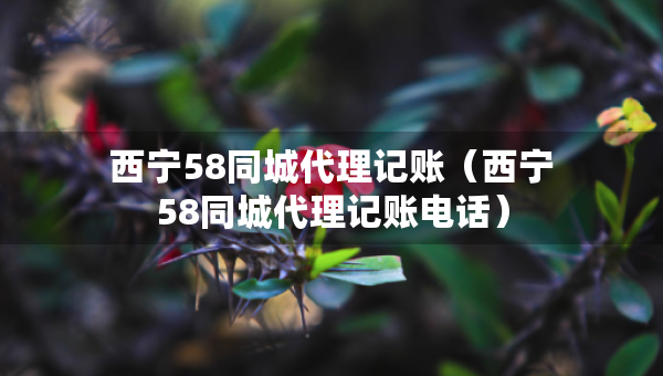 西宁58同城代理记账（西宁58同城代理记账电话）