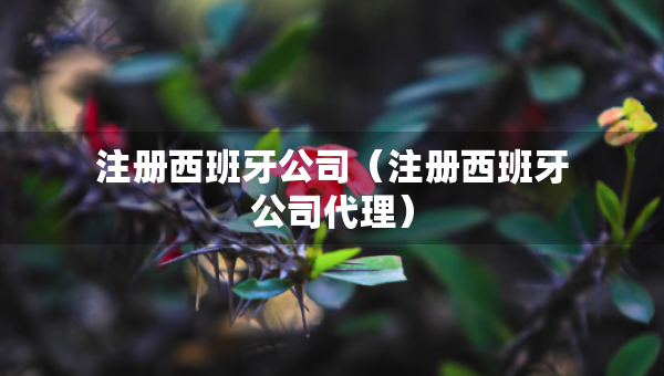 注册西班牙公司（注册西班牙公司代理）