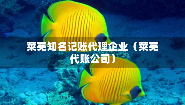莱芜知名记账代理企业（莱芜代账公司）