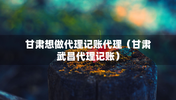 甘肃想做代理记账代理（甘肃武昌代理记账）