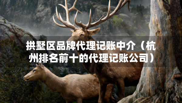 拱墅区品牌代理记账中介（杭州排名前十的代理记账公司）